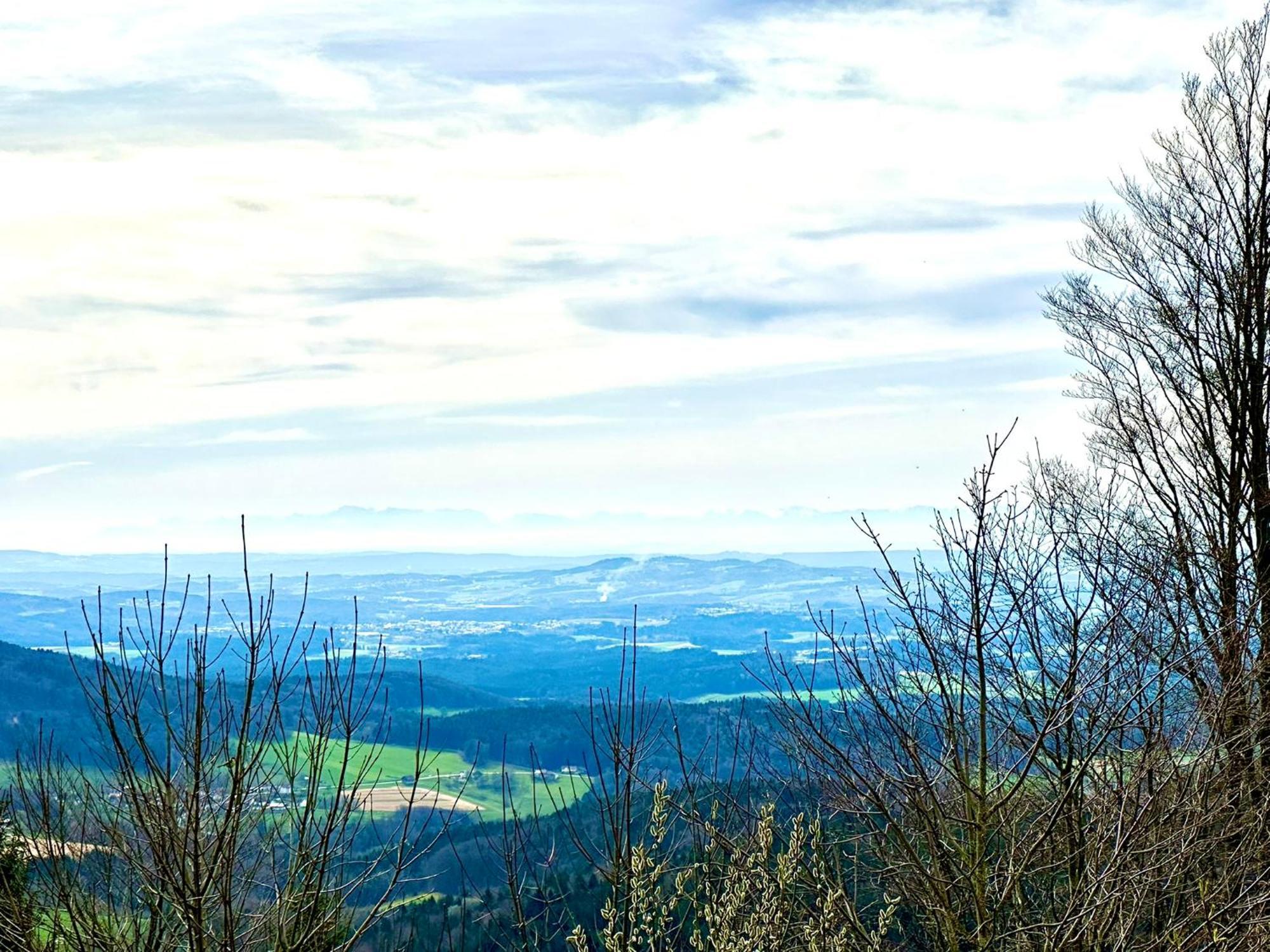 Gemuetliches Alpenblick Berg-Bungalow + Grosser Garten + Netflix! Schofweg Экстерьер фото