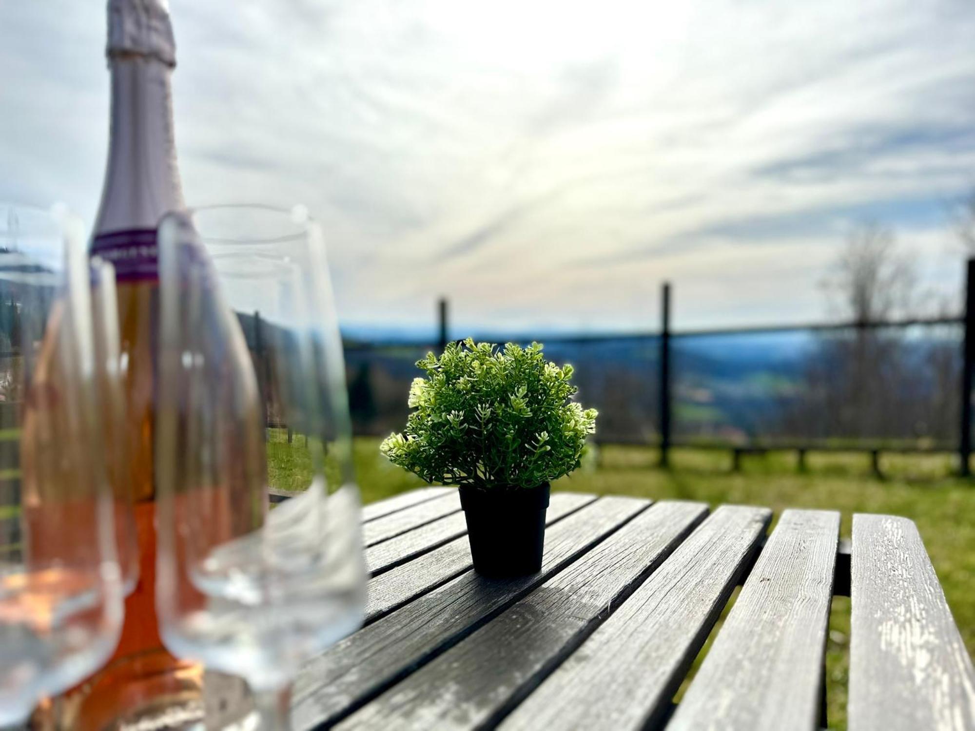 Gemuetliches Alpenblick Berg-Bungalow + Grosser Garten + Netflix! Schofweg Экстерьер фото